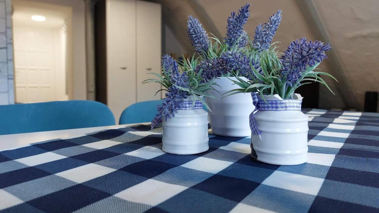 Sloneczny Apartament دوشنيكي زدروي المظهر الخارجي الصورة